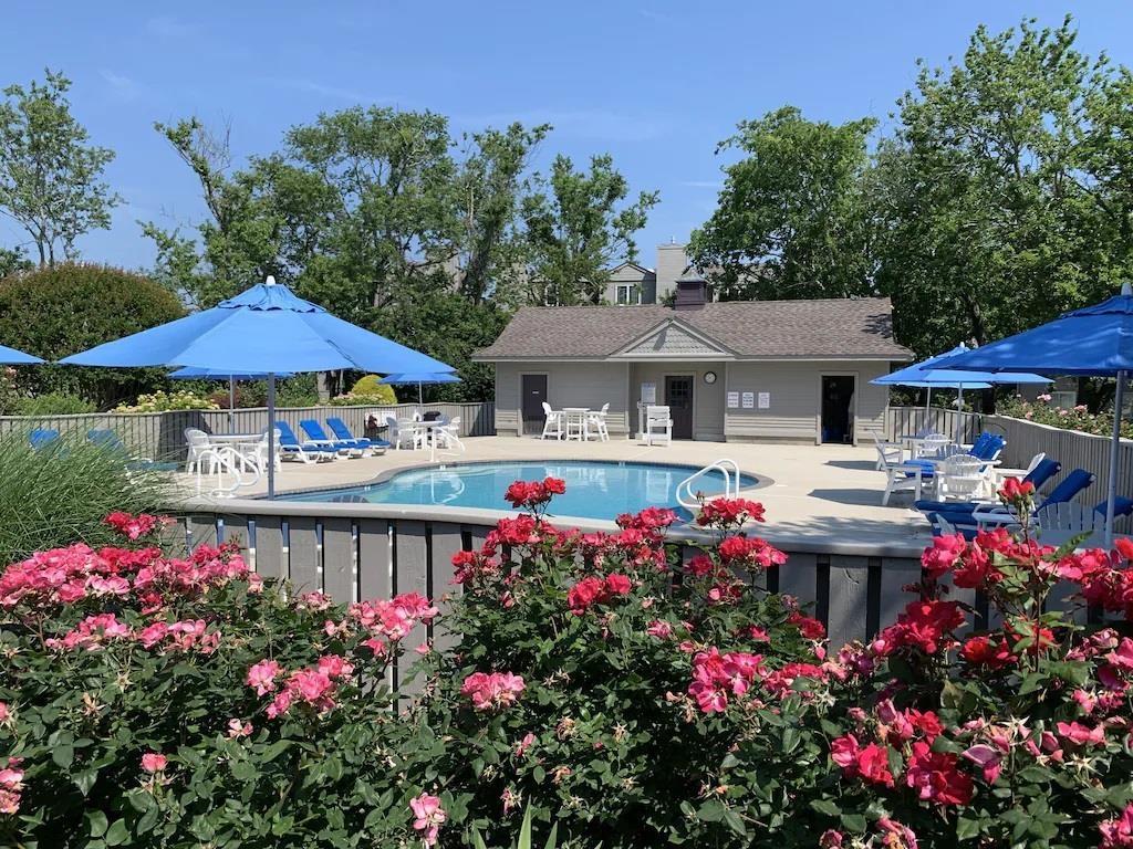 Sunsets of Bird Sanctuary - POOL! | Photo 26