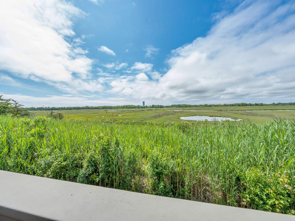 Sunsets of Bird Sanctuary - POOL! | Photo 5