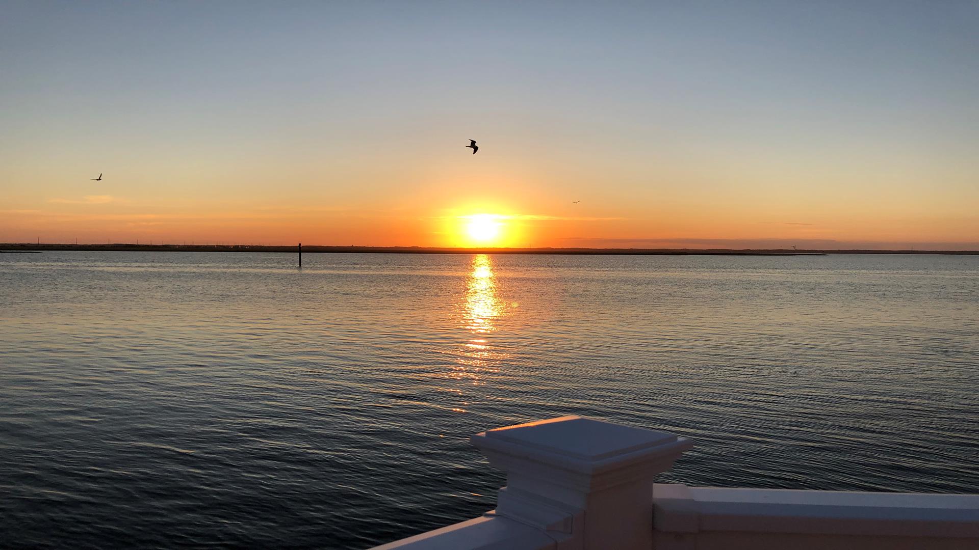 331 84th Street, Stone Harbor (Bay Front)