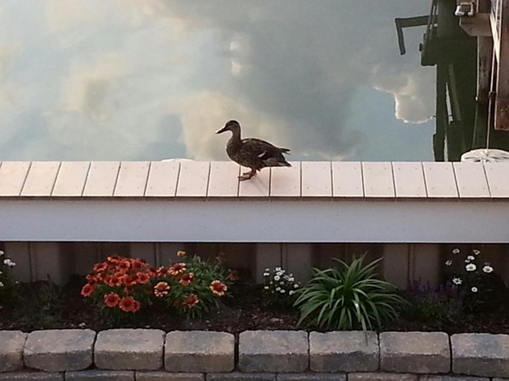 10711 Sunset Drive, Stone Harbor (Bay Front)