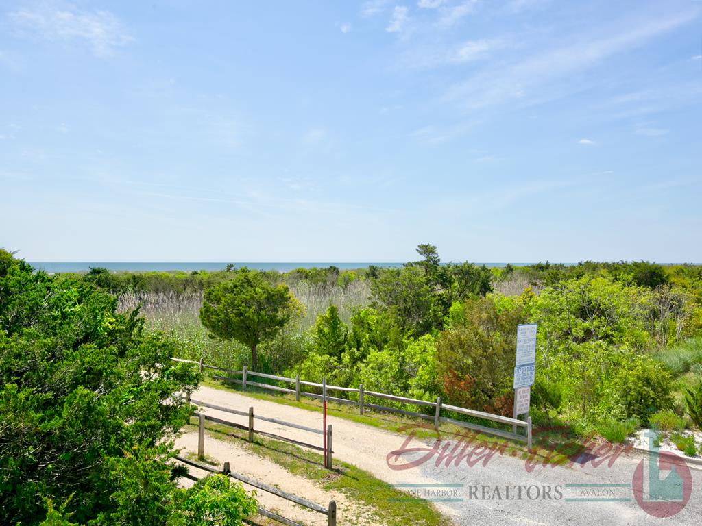 77 38th Street, Avalon (Beach Front)