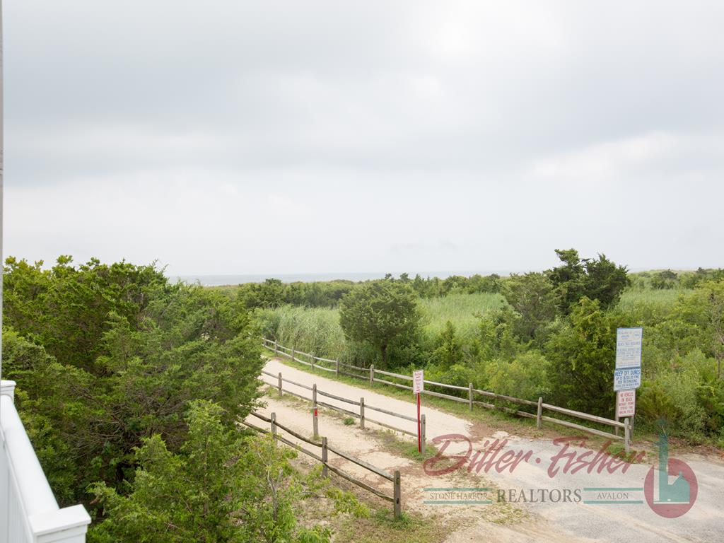 77 38th Street, Avalon (Beach Front)